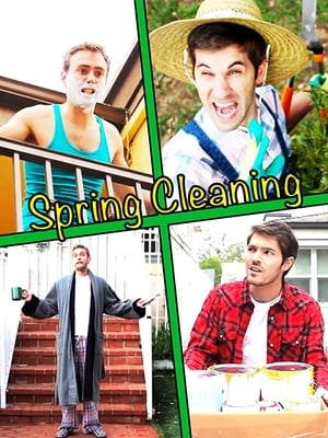 En dvd sur amazon Spring Cleaning