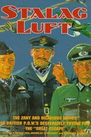 En dvd sur amazon Stalag Luft