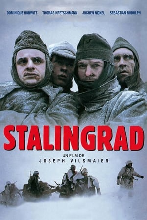 En dvd sur amazon Stalingrad