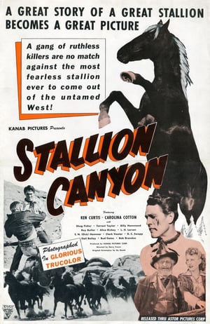 En dvd sur amazon Stallion Canyon