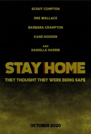 En dvd sur amazon Stay Home