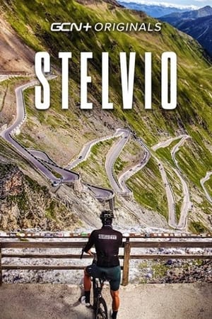 En dvd sur amazon Stelvio