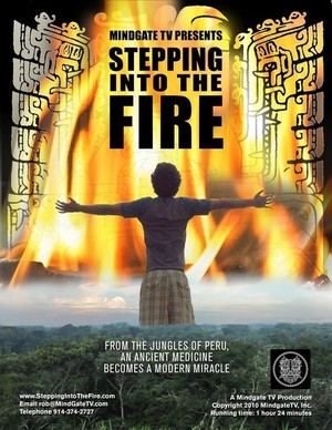En dvd sur amazon Stepping Into the Fire