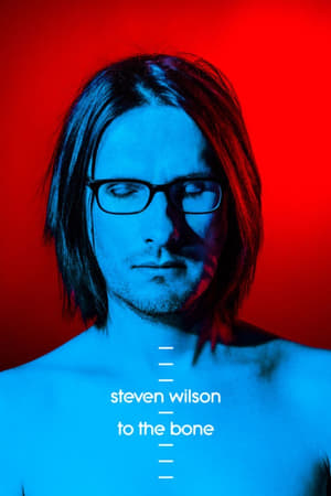 En dvd sur amazon Steven Wilson: Ask Me Nicely - The Making of To The Bone