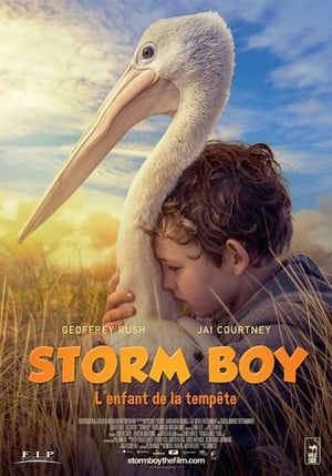 En dvd sur amazon Storm Boy
