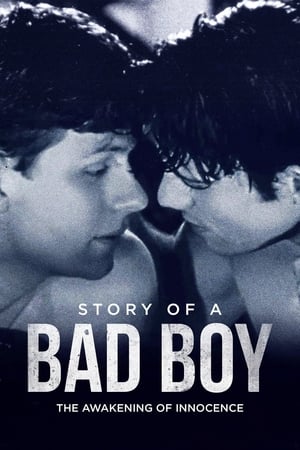 En dvd sur amazon Story of a Bad Boy