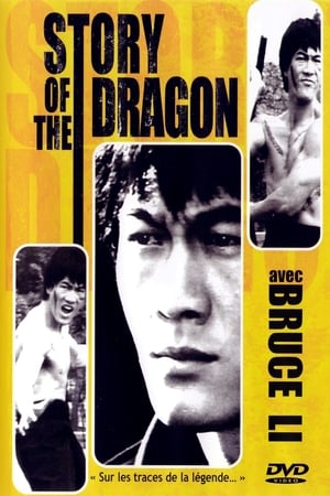 En dvd sur amazon 詠春與截拳