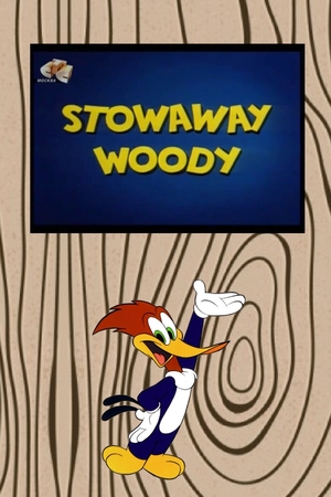 En dvd sur amazon Stowaway Woody