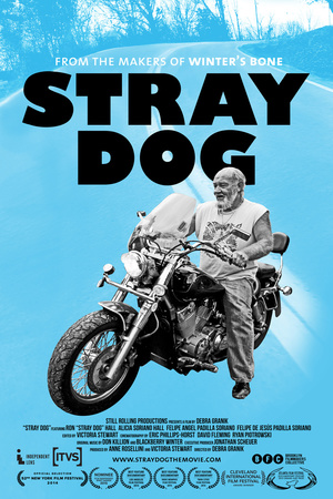 En dvd sur amazon Stray Dog