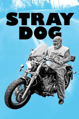 En dvd sur amazon Stray Dog