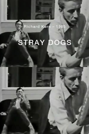 En dvd sur amazon Stray Dogs