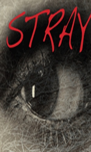 En dvd sur amazon Stray