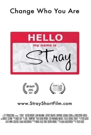 En dvd sur amazon Stray