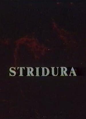 En dvd sur amazon Stridura