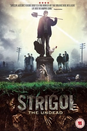En dvd sur amazon Strigoi