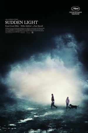En dvd sur amazon Sudden Light
