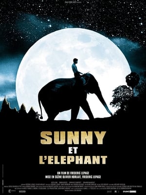 En dvd sur amazon Sunny et l'éléphant