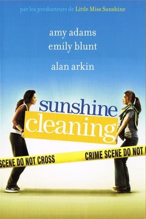 En dvd sur amazon Sunshine Cleaning