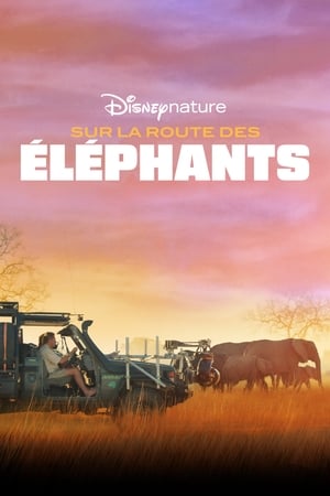 En dvd sur amazon In the Footsteps of Elephant