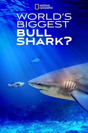 En dvd sur amazon World's Biggest Bull Shark?