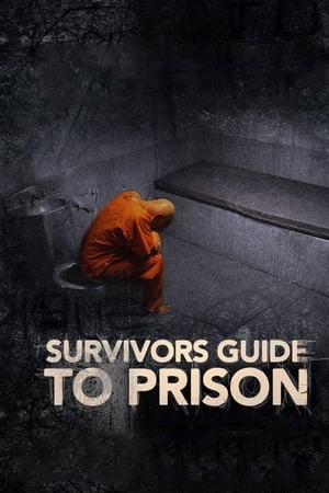 En dvd sur amazon Survivor's Guide to Prison