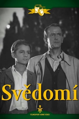 En dvd sur amazon Svědomí