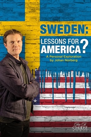 En dvd sur amazon Sweden: Lessons for America?