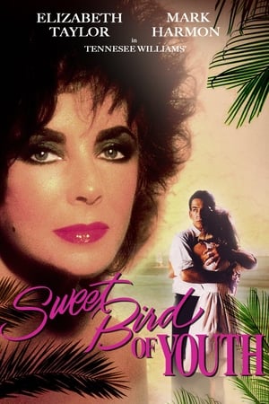 En dvd sur amazon Sweet Bird of Youth