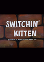 Switchin' Kitten