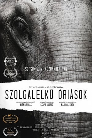 En dvd sur amazon Szolgalelkű Óriások