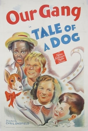 En dvd sur amazon Tale of a Dog