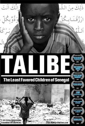 En dvd sur amazon Talibe: The Least Favored Children of Senegal