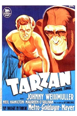 En dvd sur amazon Tarzan the Ape Man