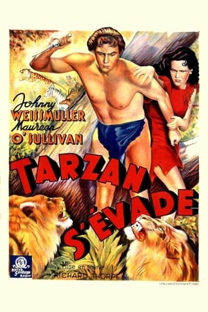 En dvd sur amazon Tarzan Escapes