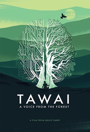 En dvd sur amazon Tawai: A Voice from the Forest