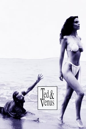 En dvd sur amazon Ted & Venus