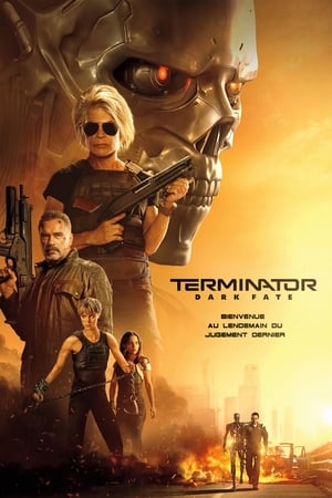 En dvd sur amazon Terminator: Dark Fate