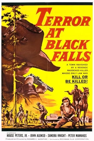En dvd sur amazon Terror At Black Falls