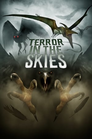 En dvd sur amazon Terror in the Skies