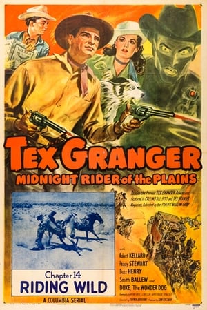 En dvd sur amazon Tex Granger: Midnight Rider of the Plains