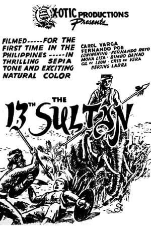 En dvd sur amazon The 13th Sultan