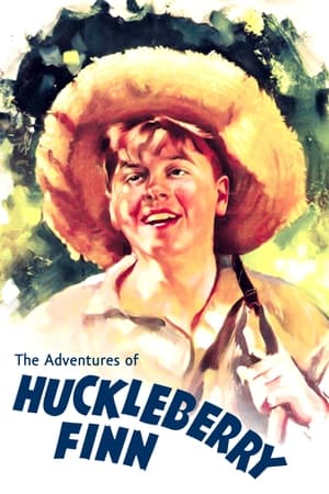 En dvd sur amazon The Adventures of Huckleberry Finn