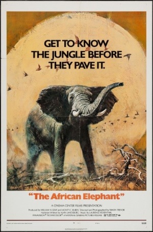 En dvd sur amazon The African Elephant