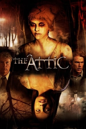 En dvd sur amazon The Attic