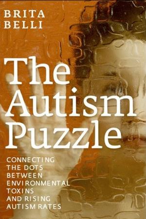 En dvd sur amazon The Autism Puzzle