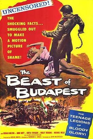 En dvd sur amazon The Beast of Budapest