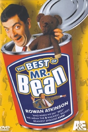 En dvd sur amazon The Best of Mr. Bean