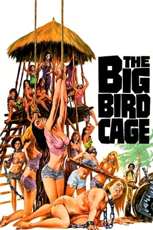 En dvd sur amazon The Big Bird Cage