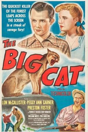 En dvd sur amazon The Big Cat