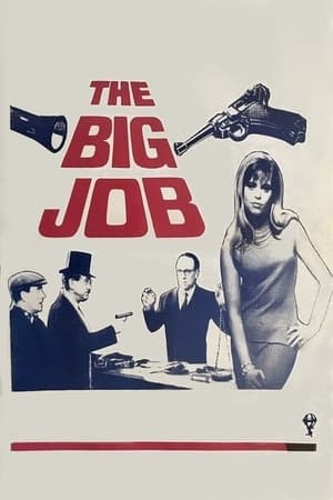 En dvd sur amazon The Big Job